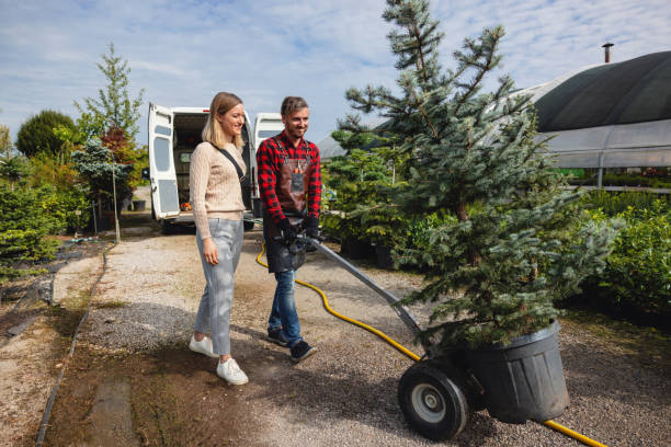 Best Residential Tree Removal  in Fort Smith, AR